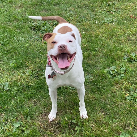 Meet your Posher, Kate - Picture 2 of 3